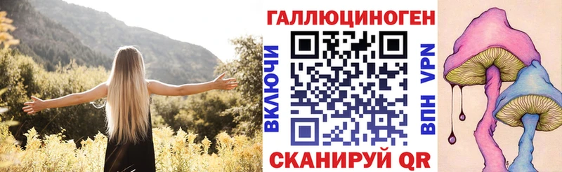 где купить наркоту  Почеп  Псилоцибиновые грибы Magic Shrooms 